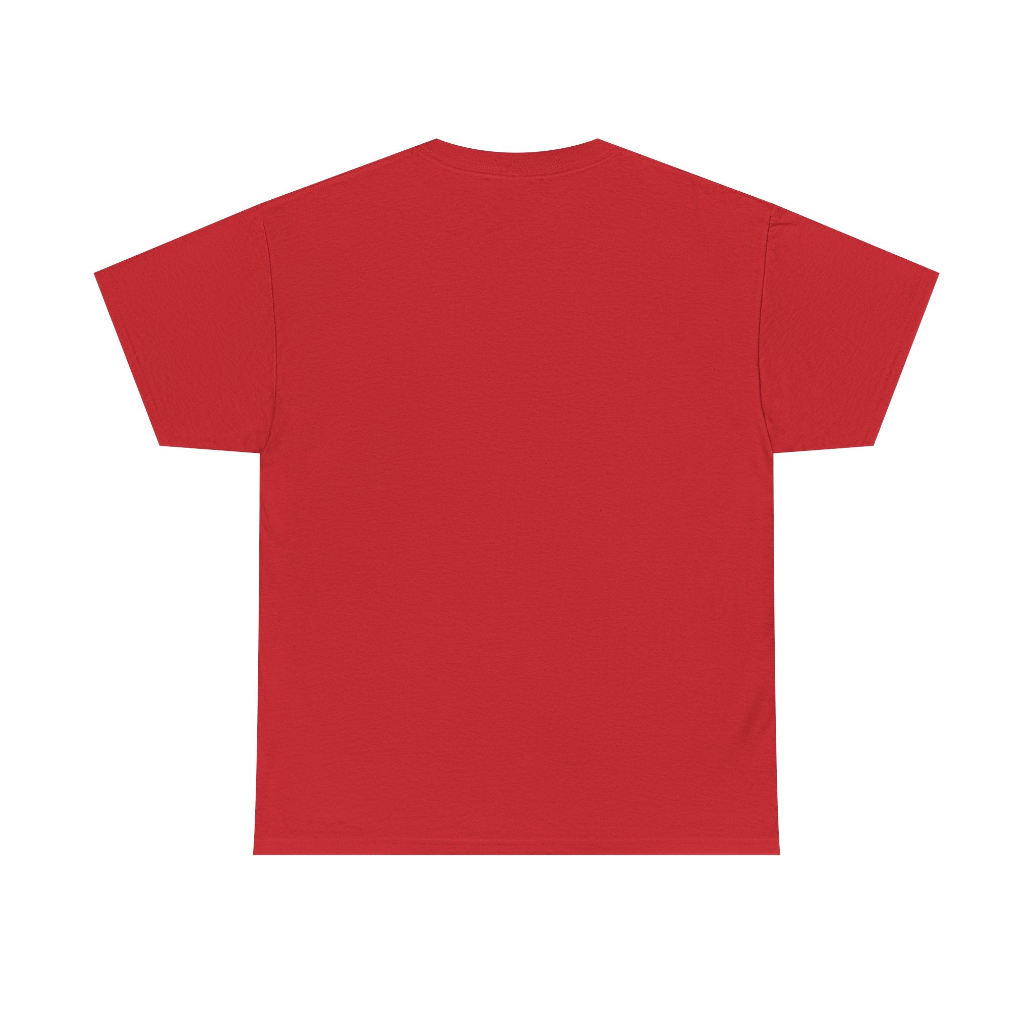 Meme T-Shirt — “I don't like spiderman” Funny Exit Sign Photo Tee