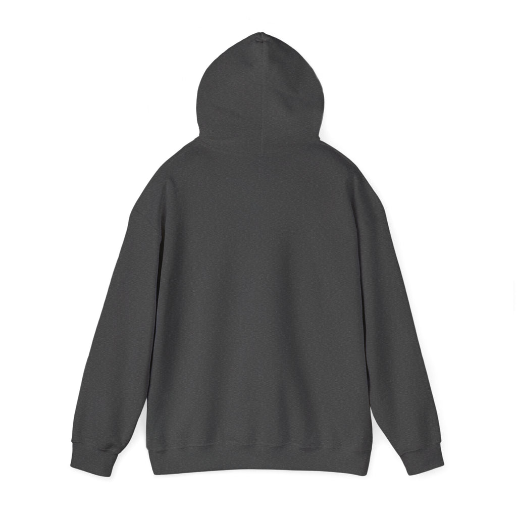 Hoodie – "Born to be Spiderman, Forced to be a Teenage Girl" Minimal Graphic Hoodie