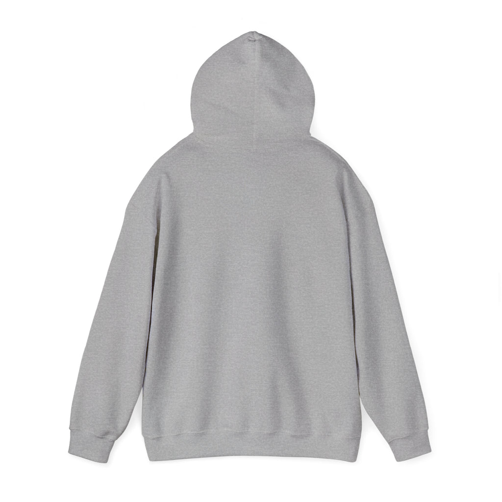 Hoodie – "Born to be Spiderman, Forced to be a Teenage Girl" Minimal Graphic Hoodie